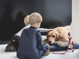convivenza-cane-bambino