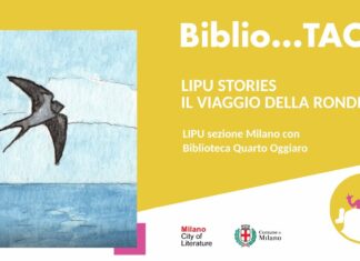 LIPU-Stories-il-viaggio-della-rondine-