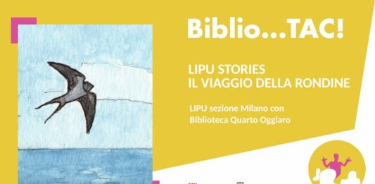 LIPU-Stories-il-viaggio-della-rondine-