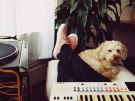 Fare ascoltare musica al cane? Ecco quali sono i suoi gusti fare-ascoltare-musica-al-cane