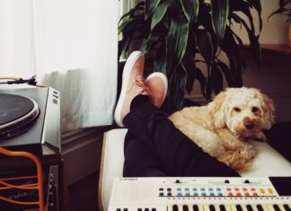 fare-ascoltare-musica-al-cane