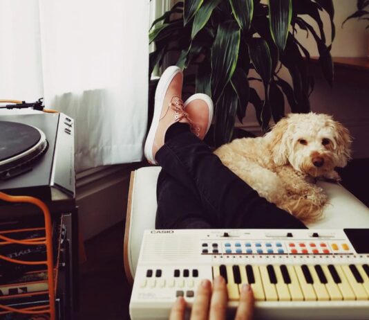 fare-ascoltare-musica-al-cane