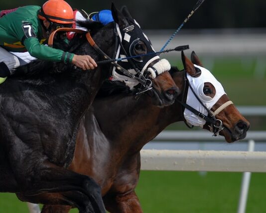 benessere degli animali sportivi
