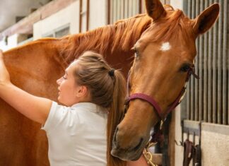 lavorare con cavalli si riconoscono allo specchio