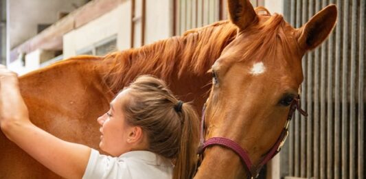 lavorare con cavalli si riconoscono allo specchio