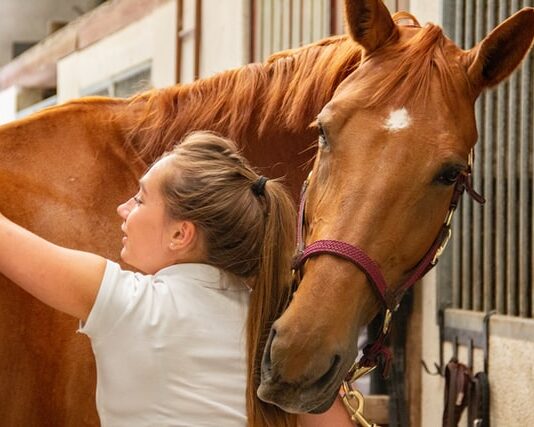 lavorare con cavalli si riconoscono allo specchio