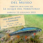 acquario