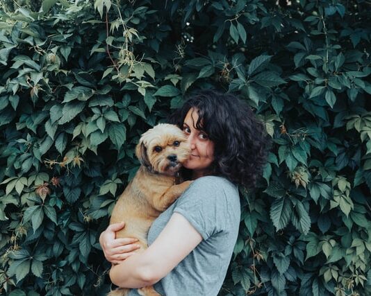 animali e interesse politico