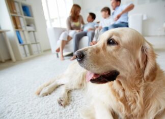 italiani e gli animali Famiglia animali domestici