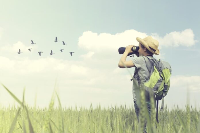 Eurobirdwatch 2021 Eurobirdwatch 2021