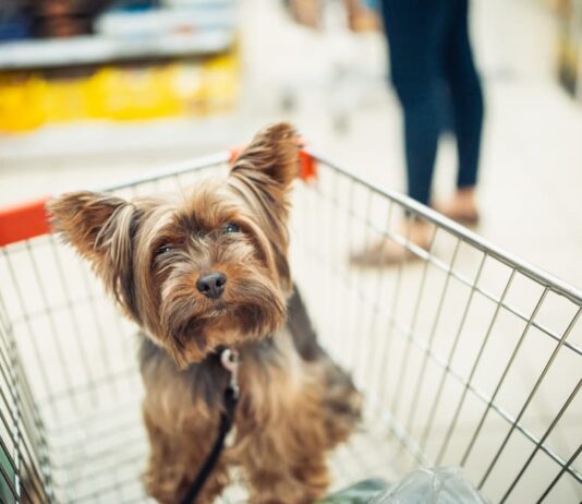 cani nei negozi carrello