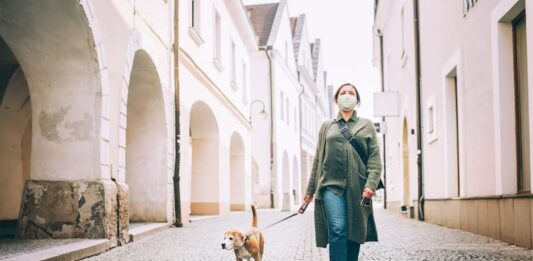 lockdown cane passeggiata