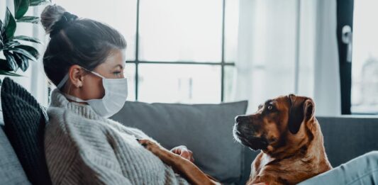 Covid-19 animali cane