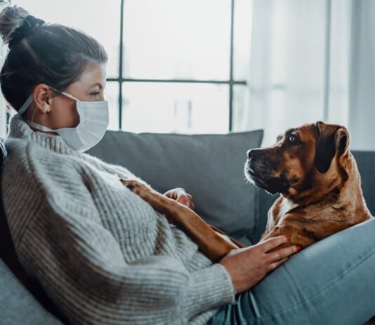 Come proteggere dal Covid-19 in nostri animali domestici Covid-19 animali cane