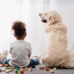 golden retriever bambini