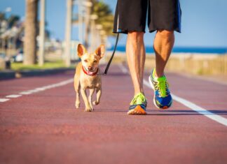 sport fare con cane