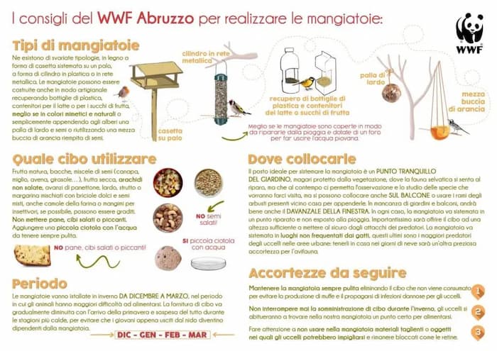 Mangiatoie-invernali_Consigli-WWF-Abruzzo-light-1024x724.jpg