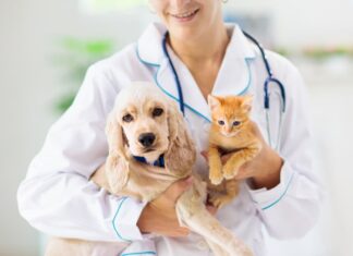veterinario proprietari