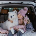 viaggio con animali auto