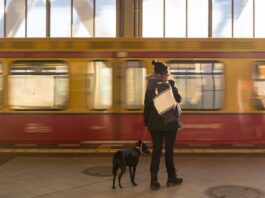 viaggio con animali treno
