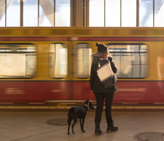 viaggio con animali treno