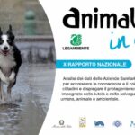 Rapporto animali in città Legambiente