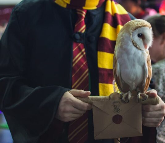 Gli animali da compagnia dei protagonisti di Harry Potter