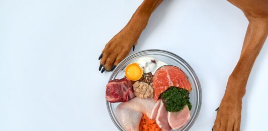 Alimenti nella dieta del cane: la carne e il pesce dieta cane carne pesce