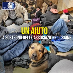 animali ucraina oipa animali ucraina oipa