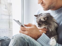 dolore gatto app