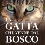 festa gatto Gatta bosco G