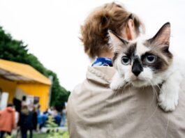 animali ucraina fuga