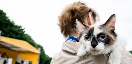 animali ucraina fuga