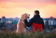 comunicazione cane legame