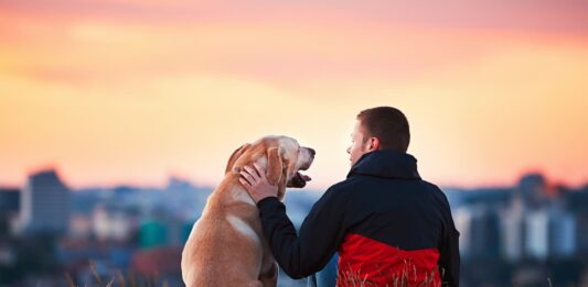 comunicazione cane legame