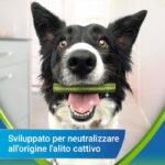 Dentalife ActivFresh