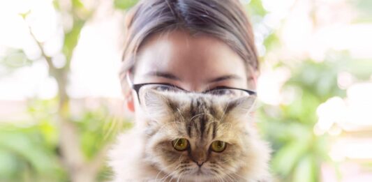 relazione gatto proprietario