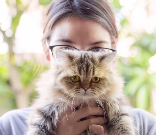 relazione gatto proprietario