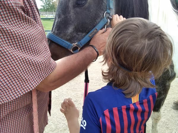 Fise fieracavalli