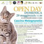 Miagolandia open day 2022