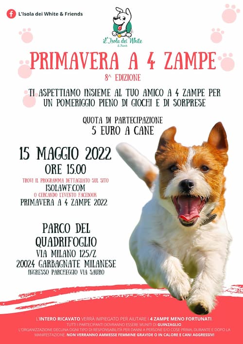 Primavera a 4 zampe volantino