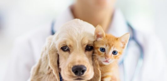 vaccinare animali