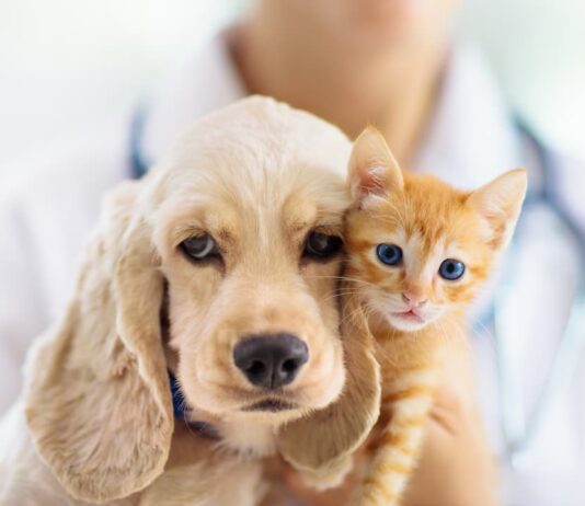 vaccinare animali
