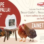 zampe in spalla locandina
