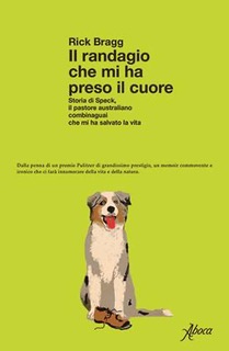 Il randagio che mi ha preso il cuore