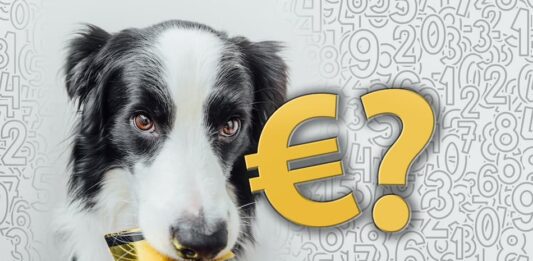 cane quanto costa