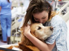 Pet therapy: quando gli animali domestici arrivano in nostro aiuto pet therapy animali