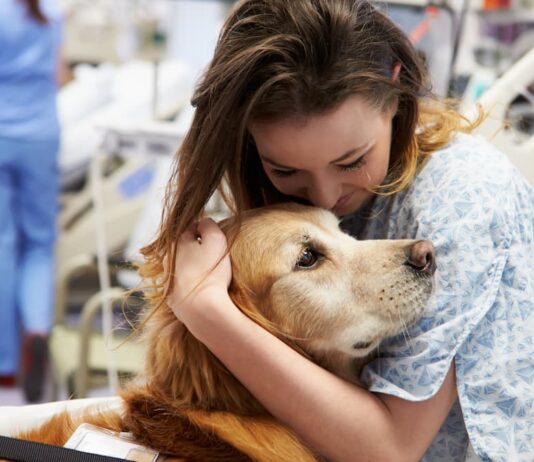 pet therapy animali