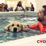 A tutta coda pet expo