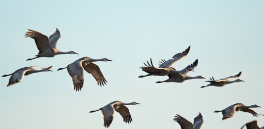 cambiamenti climatici